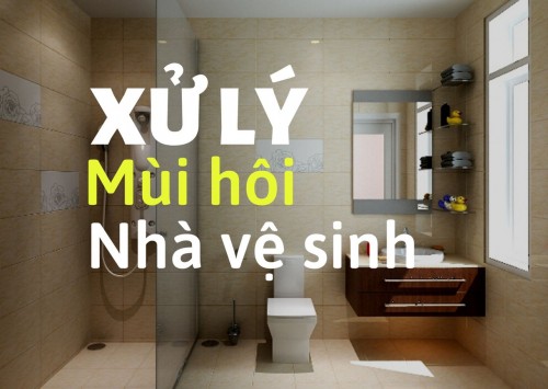 Xử Lý Mùi Hôi Nhà Vệ Sinh Phường Cửa Ông – Hết Mùi 100%