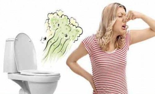 Xử Lý Mùi Hôi Nhà Vệ Sinh Phường Giếng Đáy – Giải Pháp Triệt Để