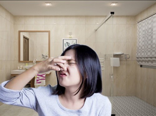 Xử lý mùi hôi nhà vệ sinh Phường Hà Khẩu-Giải pháp triệt để 100%